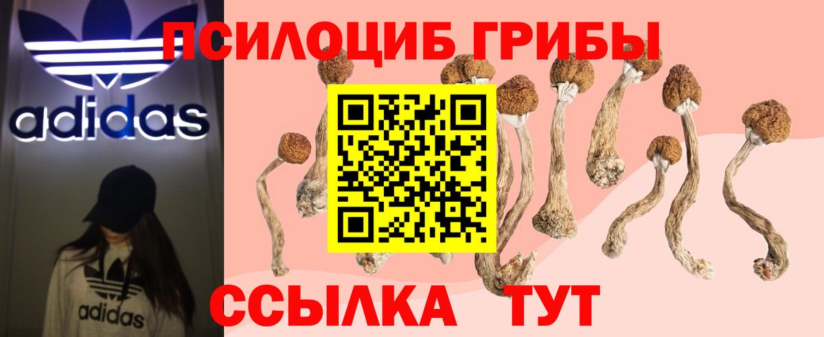 Псилоцибиновые грибы Magic Shrooms  Вход с VPN  Благодарный 